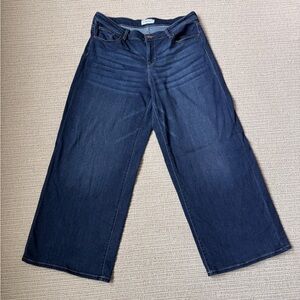 Carly Jean Los Angeles Chelsea Super Wide Leg Jeans size 1X